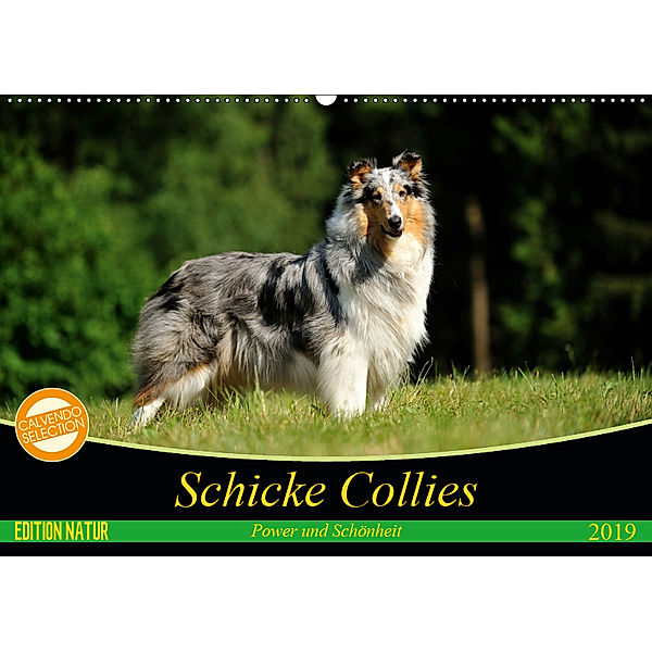 Schicke Collies (Wandkalender 2019 DIN A2 quer), Yvonne Janetzek