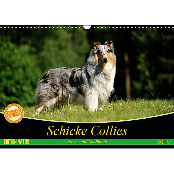 Schicke Collies (Wandkalender 2019 DIN A3 quer), Yvonne Janetzek