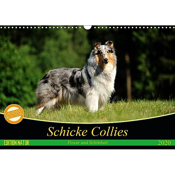 Schicke Collies (Wandkalender 2020 DIN A3 quer), Yvonne Janetzek