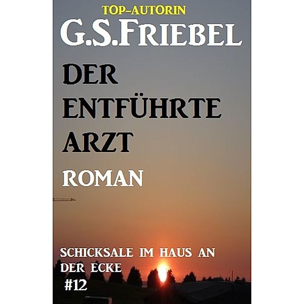 Schicksale im Haus an der Ecke #12: Der entführte Arzt, G. S. Friebel