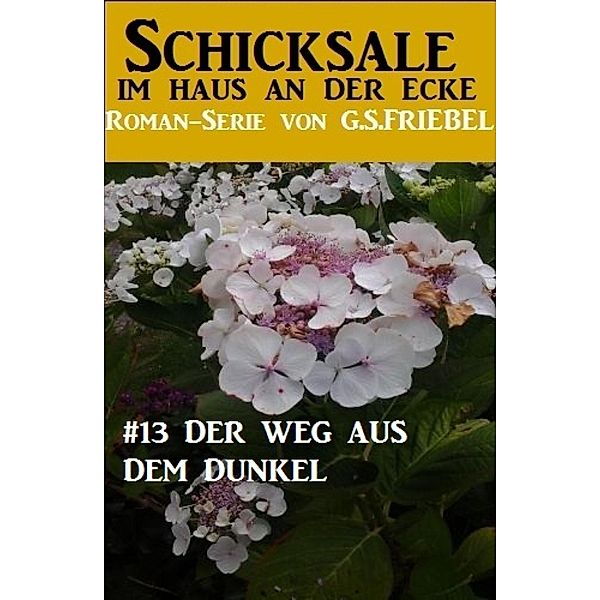 Schicksale im Haus an der Ecke #13: Der Weg aus dem Dunkel, G. S. Friebel