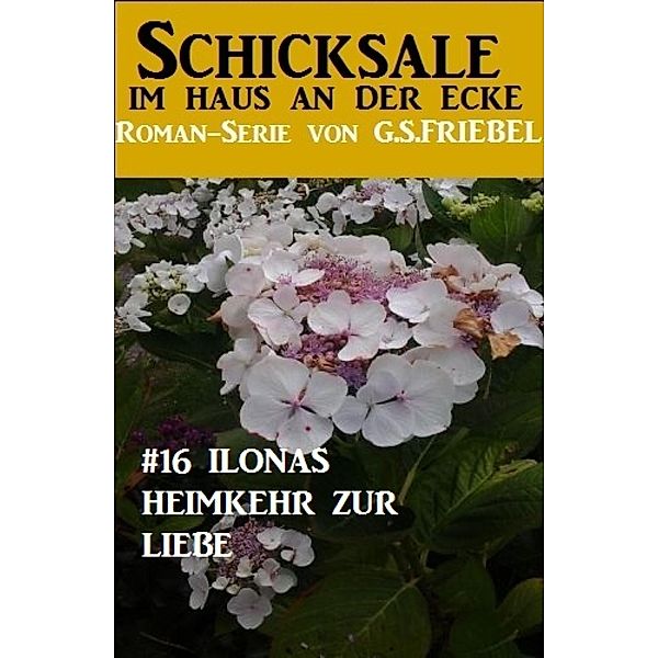 Schicksale im Haus an der Ecke #16: Ilonas Heimkehr zur Liebe, G. S. Friebel