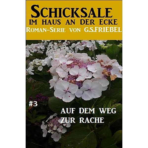 Schicksale im Haus an der Ecke #3: Auf dem Weg zur Rache, G. S. Friebel