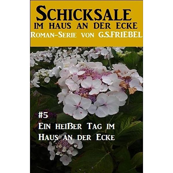 Schicksale im Haus an der Ecke #5: Ein heißer Tag im Haus an der Ecke, G. S. Friebel