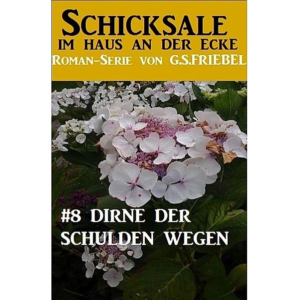 Schicksale im Haus an der Ecke #8: Dirne der Schulden wegen, G. S. Friebel