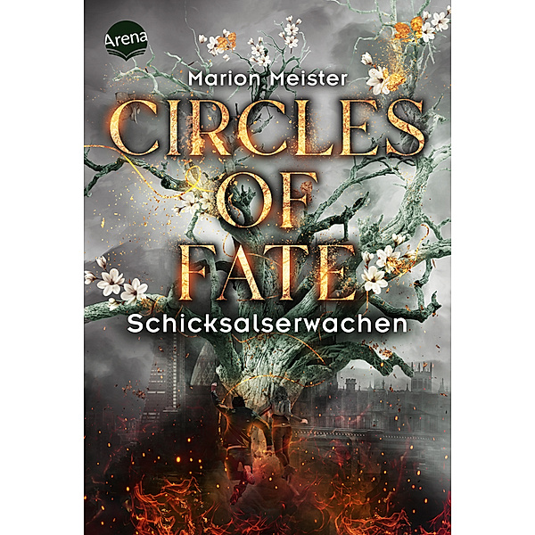Schicksalserwachen / Circles of Fate Bd.4, Marion Meister