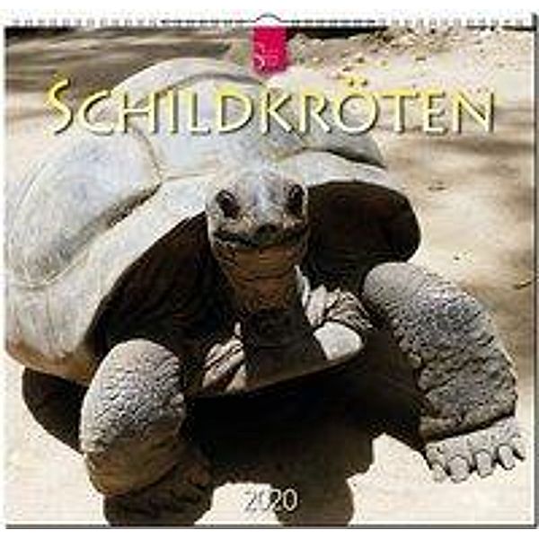 Schildkröten 2020