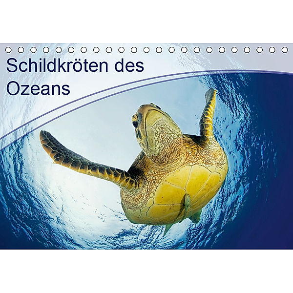 Schildkröten des Ozeans (Tischkalender 2019 DIN A5 quer), Henry Jager