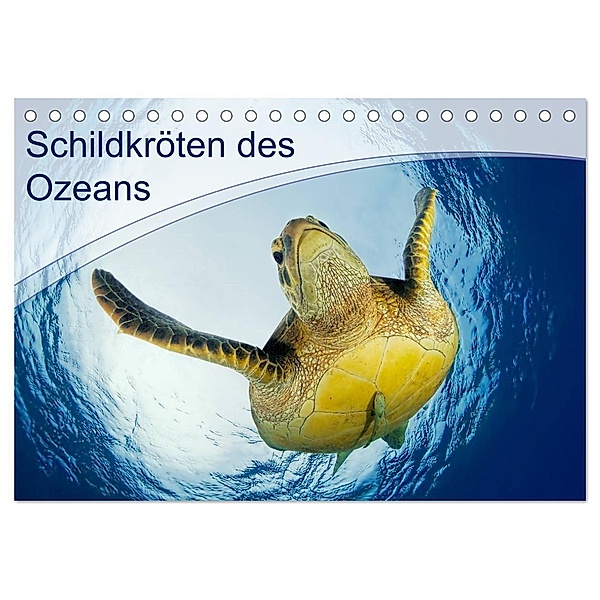 Schildkröten des Ozeans (Tischkalender 2024 DIN A5 quer), CALVENDO Monatskalender, Henry Jager