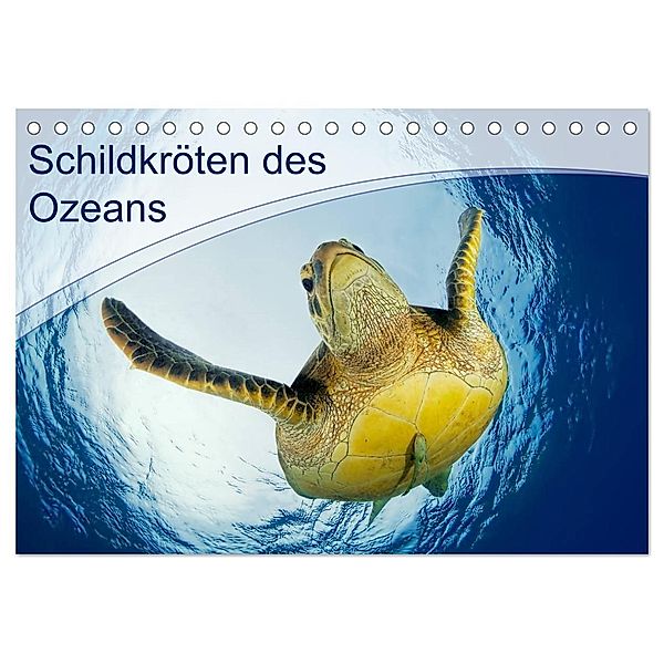 Schildkröten des Ozeans (Tischkalender 2025 DIN A5 quer), CALVENDO Monatskalender, Calvendo, Henry Jager