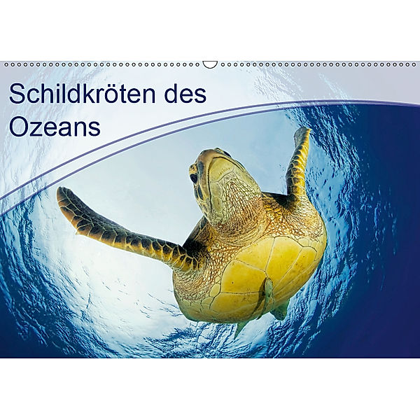 Schildkröten des Ozeans (Wandkalender 2019 DIN A2 quer), Henry Jager