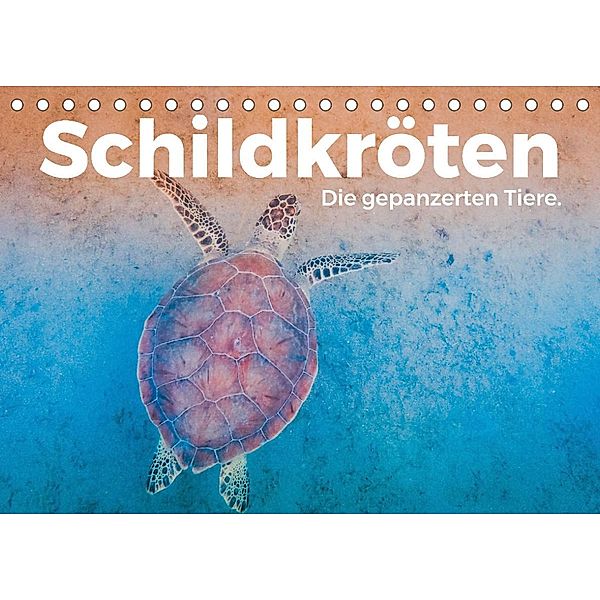 Schildkröten - Die gepanzerten Tiere. (Tischkalender 2023 DIN A5 quer), M. Scott