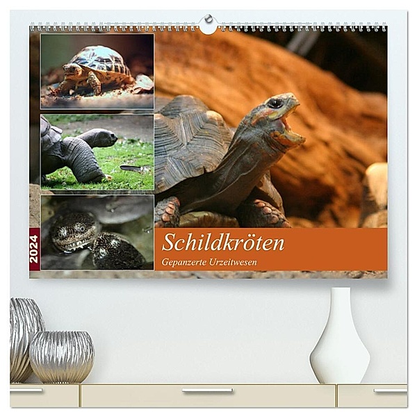 Schildkröten - Gepanzerte Urzeitwesen (hochwertiger Premium Wandkalender 2024 DIN A2 quer), Kunstdruck in Hochglanz, Barbara Mielewczyk