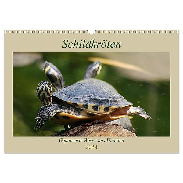 Schildkröten - Gepanzerte Wesen aus Urzeiten (Wandkalender 2024 DIN A3 quer), CALVENDO Monatskalender, Barbara Mielewczyk