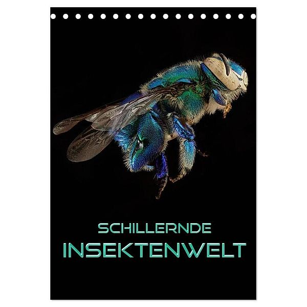 Schillernde Insektenwelt (Tischkalender 2025 DIN A5 hoch), CALVENDO Monatskalender, Calvendo, Renate Bleicher