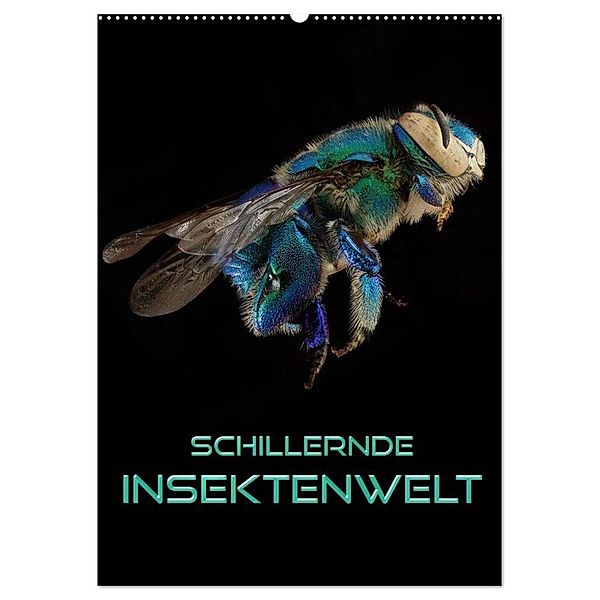 Schillernde Insektenwelt (Wandkalender 2024 DIN A2 hoch), CALVENDO Monatskalender, Renate Bleicher