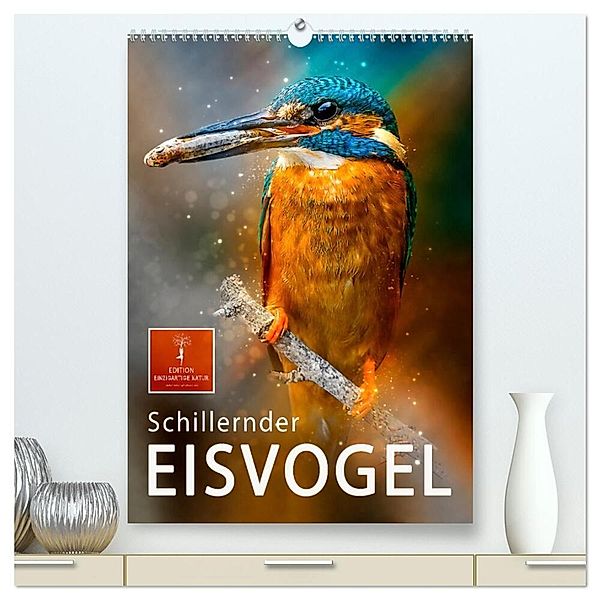 Schillernder Eisvogel (hochwertiger Premium Wandkalender 2025 DIN A2 hoch), Kunstdruck in Hochglanz, Calvendo, Peter Roder