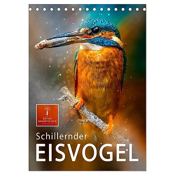 Schillernder Eisvogel (Tischkalender 2024 DIN A5 hoch), CALVENDO Monatskalender, Peter Roder