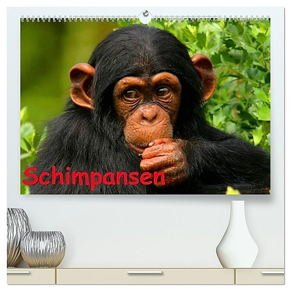 Schimpansen (hochwertiger Premium Wandkalender 2024 DIN A2 quer), Kunstdruck in Hochglanz, Elisabeth Stanzer