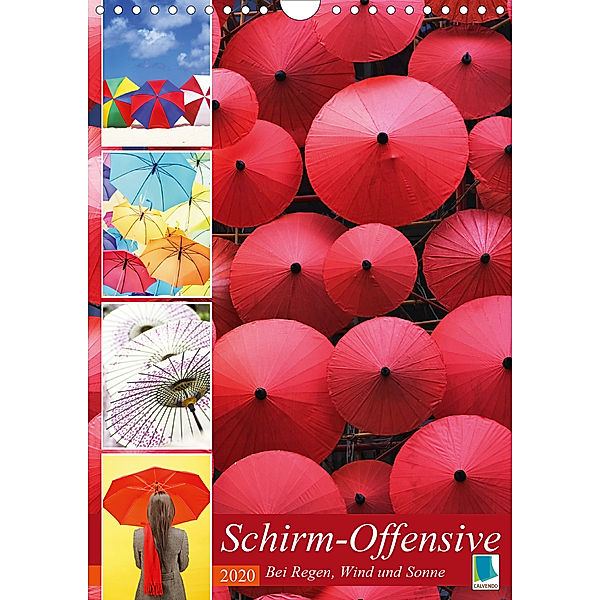 Schirm-Offensive: Bei Regen, Wind und Sonne (Wandkalender 2020 DIN A4 hoch)