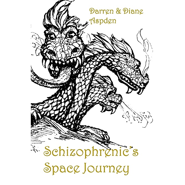 Schizophrenic's Space Journey, Darren Aspden, Diane Aspden