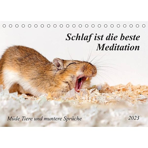 Schlaf ist die beste Meditation (Tischkalender 2023 DIN A5 quer), Kerstin Waurick