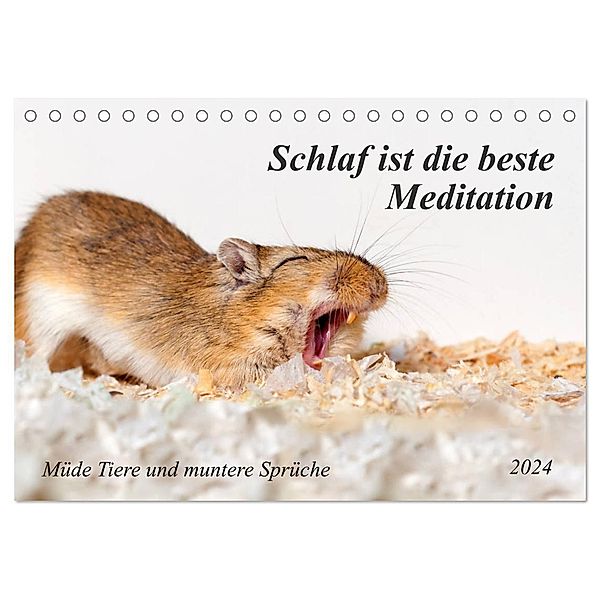 Schlaf ist die beste Meditation (Tischkalender 2024 DIN A5 quer), CALVENDO Monatskalender, Kerstin Waurick