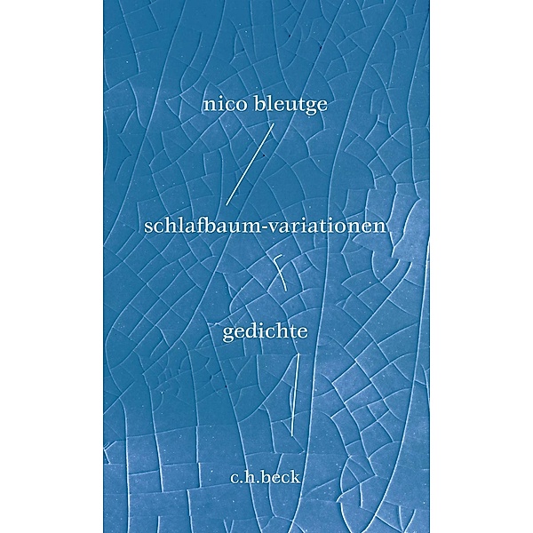 schlafbaum-variationen, Nico Bleutge