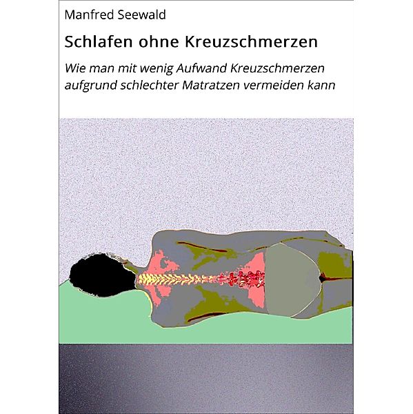 Schlafen ohne Kreuzschmerzen / Schädliche Umwelteinflüsse Bd.1, Manfred Seewald