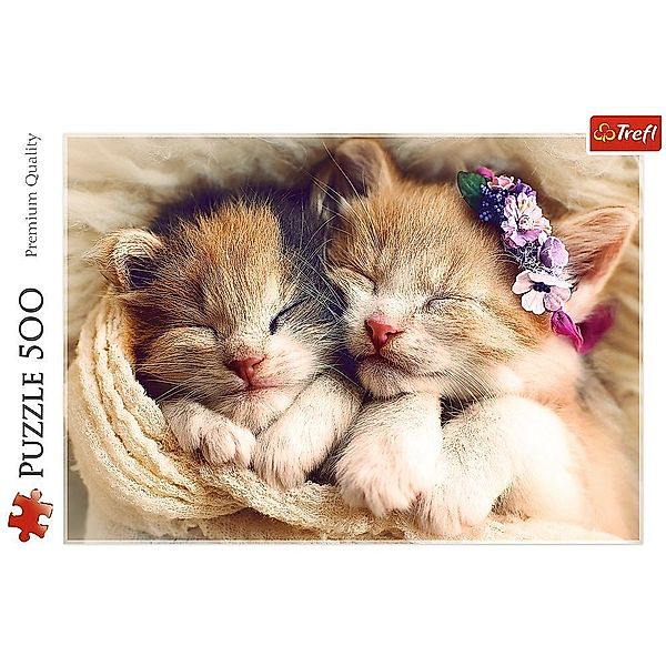 Trefl Schlafende Katzen (Puzzle)