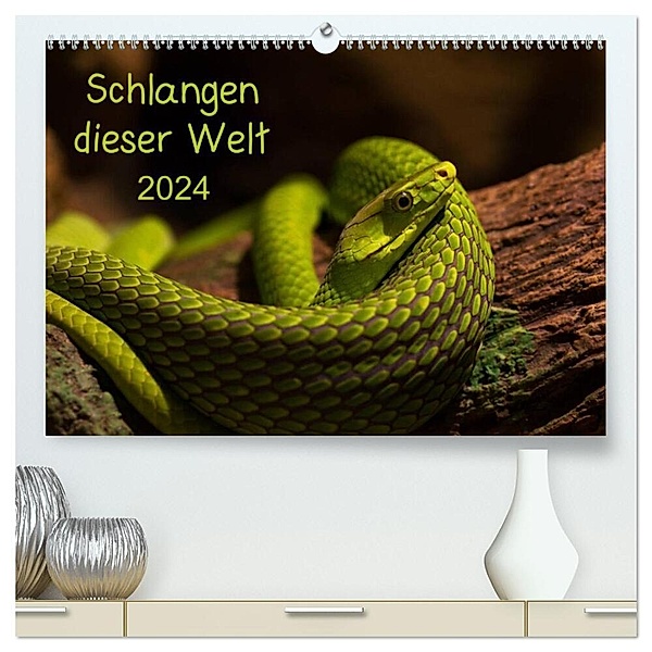 Schlangen dieser Welt (hochwertiger Premium Wandkalender 2024 DIN A2 quer), Kunstdruck in Hochglanz, GuidoTipka/GUTI-Fotos