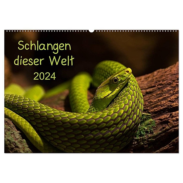 Schlangen dieser Welt (Wandkalender 2024 DIN A2 quer), CALVENDO Monatskalender, GuidoTipka/GUTI-Fotos