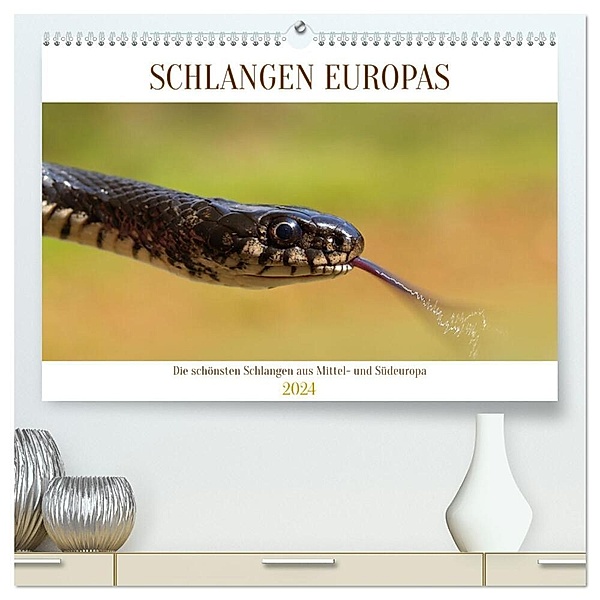 Schlangen Europas (hochwertiger Premium Wandkalender 2024 DIN A2 quer), Kunstdruck in Hochglanz, Wolfgang Simlinger