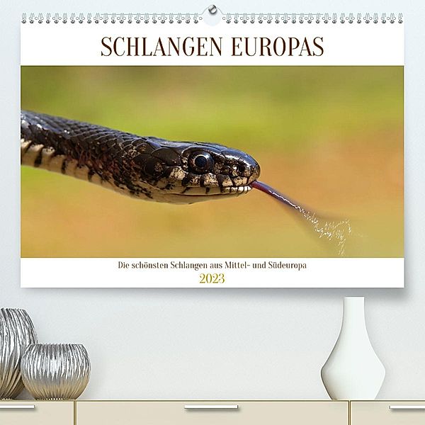 Schlangen Europas (Premium, hochwertiger DIN A2 Wandkalender 2023, Kunstdruck in Hochglanz), Wolfgang Simlinger