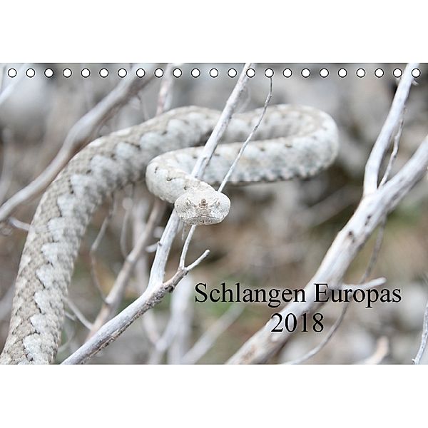 Schlangen Europas (Tischkalender 2018 DIN A5 quer), Michael Wilms