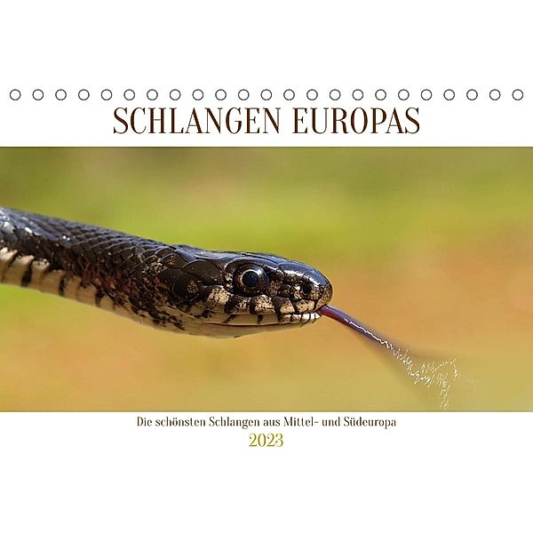 Schlangen Europas (Tischkalender 2023 DIN A5 quer), Wolfgang Simlinger