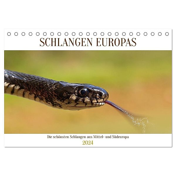 Schlangen Europas (Tischkalender 2024 DIN A5 quer), CALVENDO Monatskalender, Wolfgang Simlinger