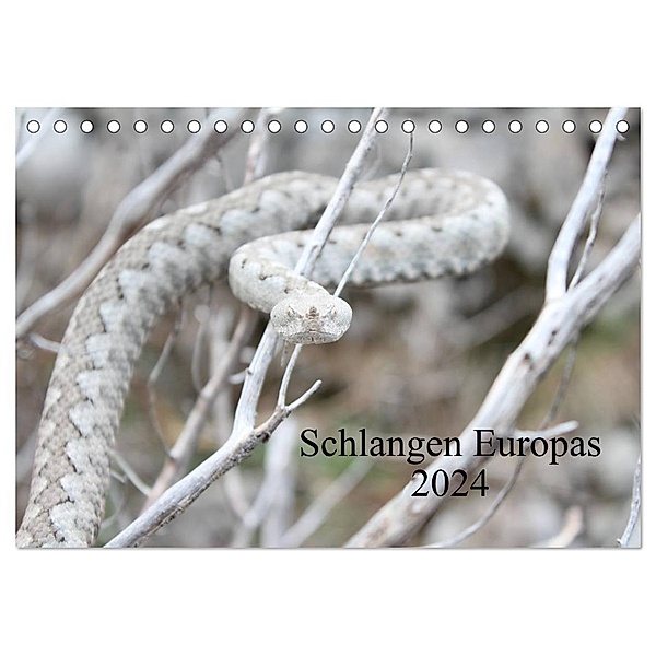 Schlangen Europas (Tischkalender 2024 DIN A5 quer), CALVENDO Monatskalender, Michael Wilms