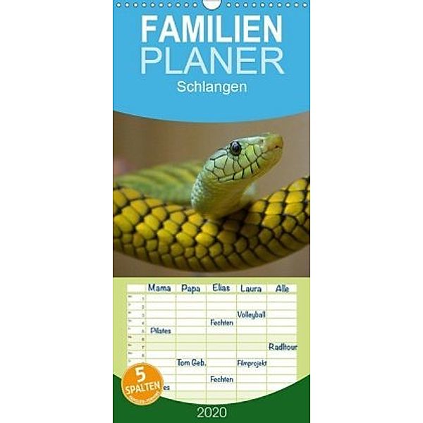 Schlangen - Familienplaner hoch (Wandkalender 2020 , 21 cm x 45 cm, hoch), Elisabeth Stanzer