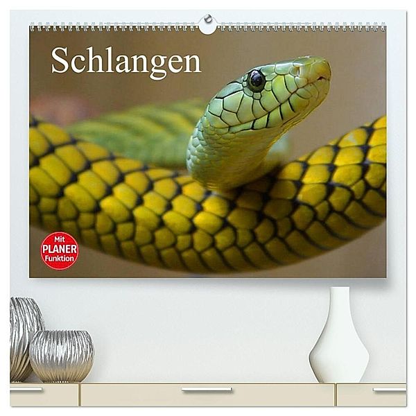 Schlangen (hochwertiger Premium Wandkalender 2024 DIN A2 quer), Kunstdruck in Hochglanz, Elisabeth Stanzer