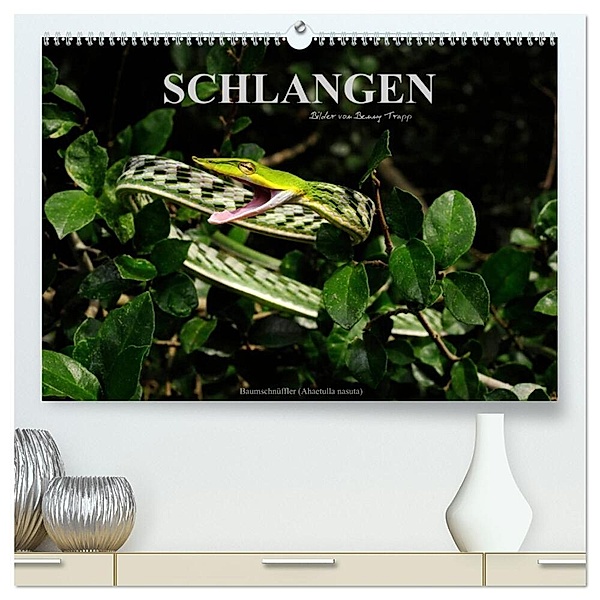 Schlangen (hochwertiger Premium Wandkalender 2024 DIN A2 quer), Kunstdruck in Hochglanz, Benny Trapp