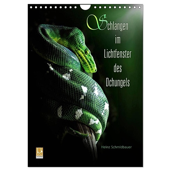 Schlangen im Lichtfenster des Dschungels (Wandkalender 2024 DIN A4 hoch), CALVENDO Monatskalender, Heinz Schmidbauer