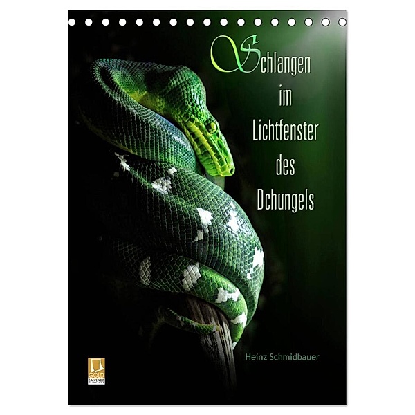 Schlangen im Lichtfenster des Dschungels (Tischkalender 2024 DIN A5 hoch), CALVENDO Monatskalender, Heinz Schmidbauer