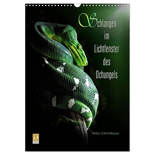 Schlangen im Lichtfenster des Dschungels (Wandkalender 2024 DIN A3 hoch), CALVENDO Monatskalender, Heinz Schmidbauer