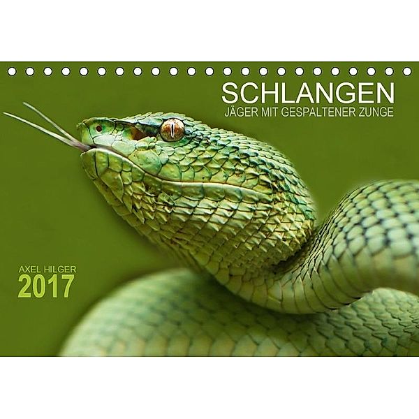 SCHLANGEN. JÄGER MIT GESPALTENER ZUNGE (Tischkalender 2017 DIN A5 quer), Axel Hilger