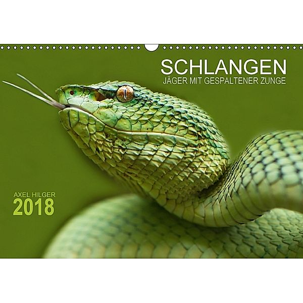 SCHLANGEN. JÄGER MIT GESPALTENER ZUNGE (Wandkalender 2018 DIN A3 quer), Axel Hilger