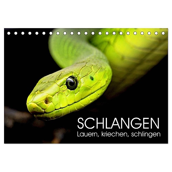 Schlangen. Lauern, kriechen, schlingen (Tischkalender 2024 DIN A5 quer), CALVENDO Monatskalender, Rose Hurley