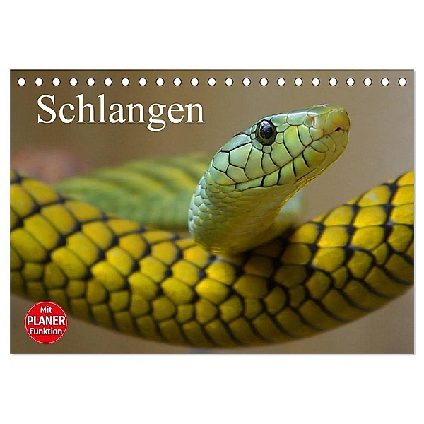 Schlangen (Tischkalender 2025 DIN A5 quer), CALVENDO Monatskalender, Calvendo, Elisabeth Stanzer