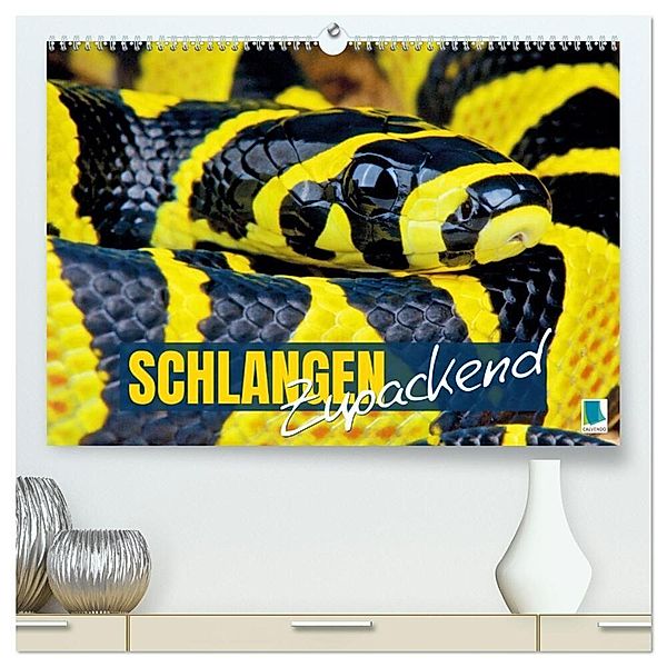 Schlangen: Zupackend (hochwertiger Premium Wandkalender 2025 DIN A2 quer), Kunstdruck in Hochglanz, Calvendo