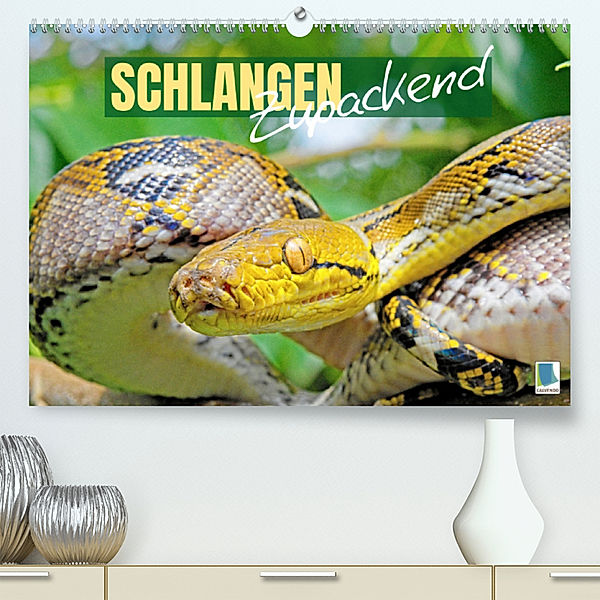 Schlangen: Zupackend (Premium, hochwertiger DIN A2 Wandkalender 2023, Kunstdruck in Hochglanz), Calvendo